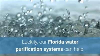 Best Price On Water Filter Gen X Online